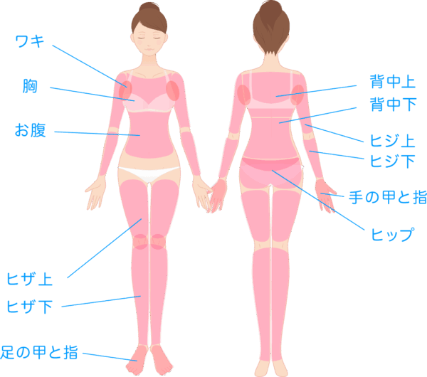 ミュゼ全⾝スキンケア美肌脱⽑コース脱毛範囲